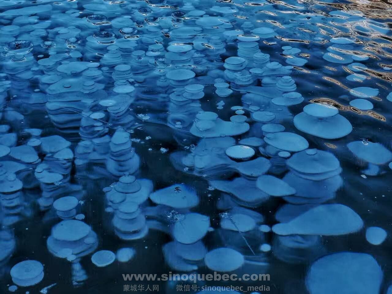 Freezing bubbles