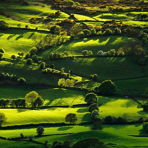 Lyth-Valley-Lake-District-Cumbria-England.jpg