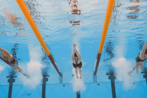 加拿大奥运会游泳选拔赛从蒙特利尔移至多伦多