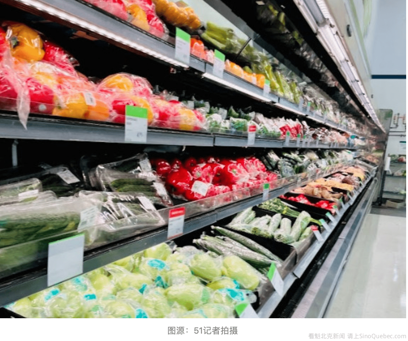 加拿大将引入一批海外折扣超市，逼三大巨头降价