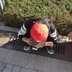 “请分享一个连接“     （玩微信玩出的诗）