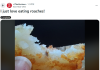 我就爱吃蟑螂！Tim Hortons薯饼里发现异物引网友爆笑吐槽
