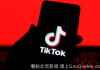魁省男子TikTok发布不当帖子被捕