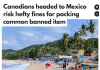 去墨西哥千万别带这类常见日用品: 最高罚$10万, 甚至坐牢