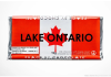 从冰淇淋、巧克力到服装！加拿大品牌集体回击“Lake America” ...