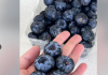 加拿大Costco惊现$26.99“天价蓝莓”！个头堪比葡萄，值得买吗？ ...