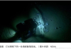 深海7000米，躺着一千万头鲸