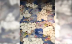 半年没回家 他惊见屋内堆满蛇蛋！画面疯传
