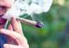 魁省吸大麻的人又少了，回到合法化前水平