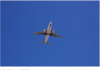 WestJet空乘和公司谈不拢, 加拿大数千旅客滞留!