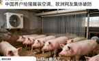 欧洲人快热死了，中国大V也快“赢麻了”