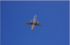 WestJet空乘和公司谈不拢, 加拿大数千旅客滞留!