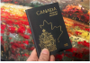 只要父母一方有加拿大国籍, 你就可以申办加拿大护照!