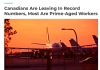 加拿大人口外流创历史新高: 12万人出走 超半数正值壮年