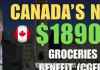 突发！最高$1890 加拿大今年将发放杂货补贴金