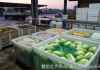 不只白菜！中国“5食物”被点名非法添加甲醛