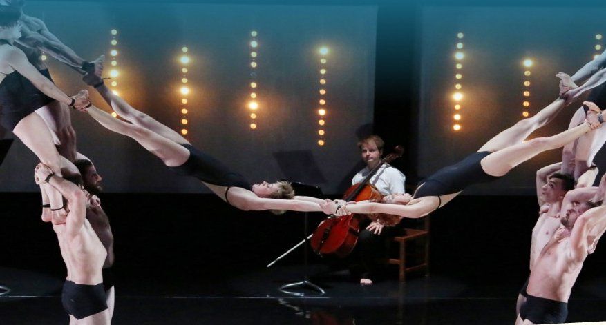 澳大利亚马戏团来蒙[MTL]