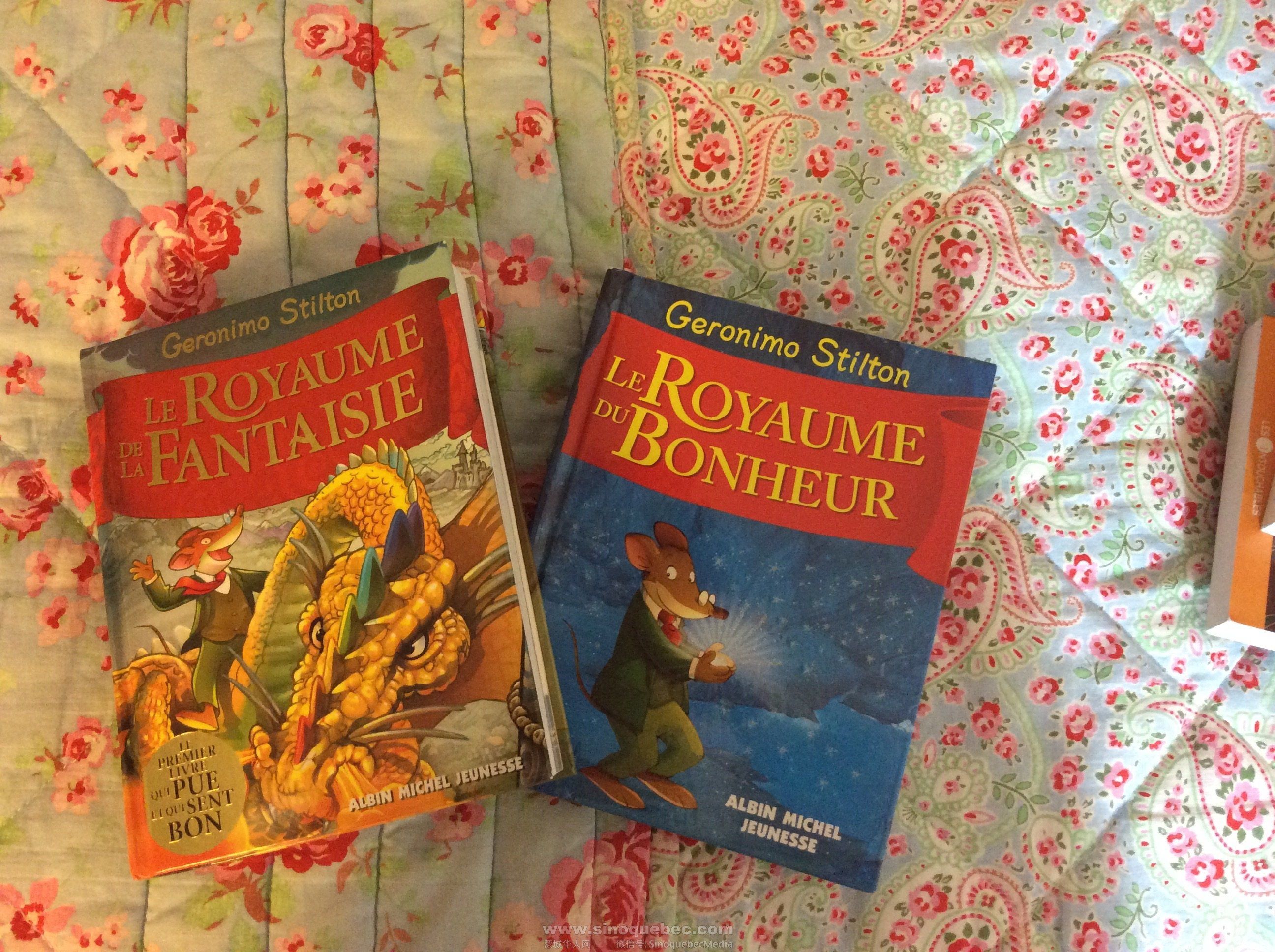 Le Royaume de la Fantaisie / Le Royaume du Bonheur : 10$/本