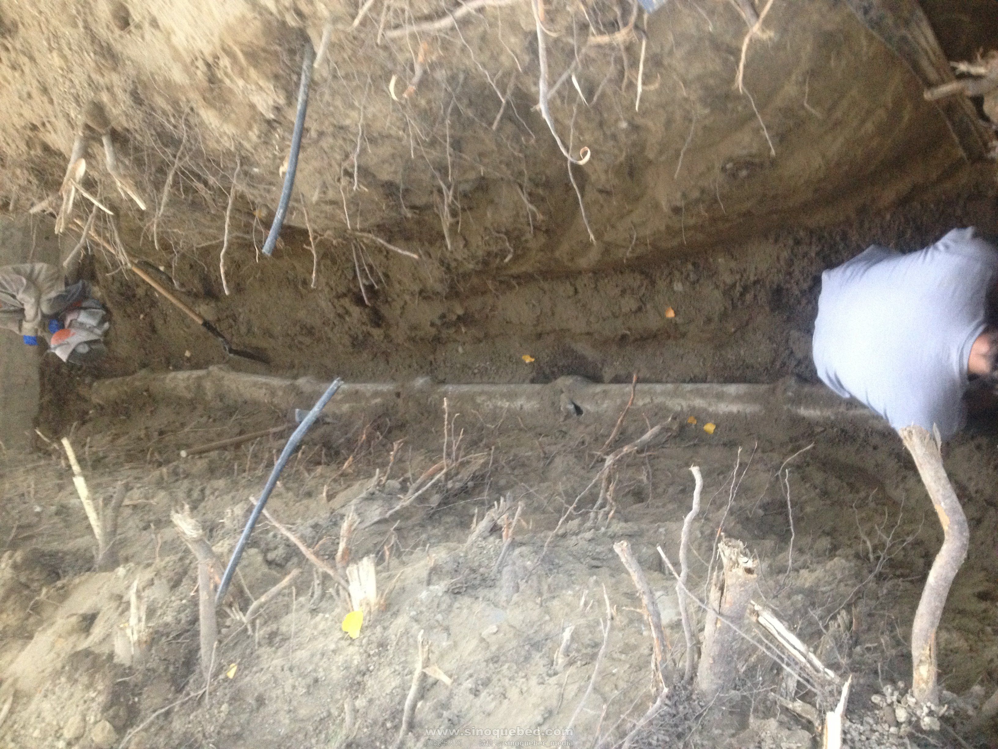 挖开地基后发现含剧毒的水道系统