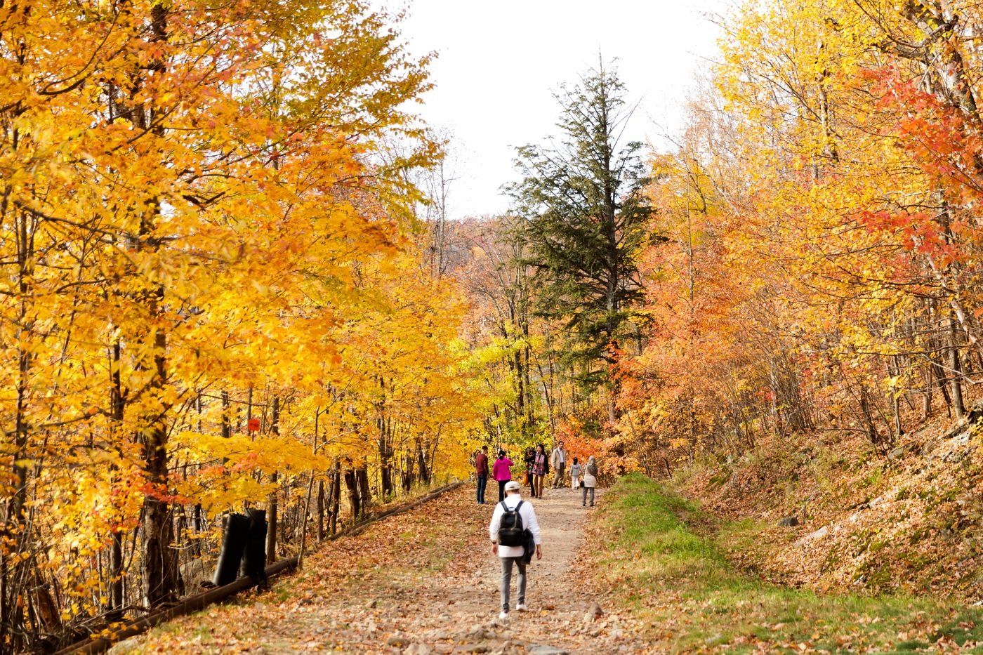 Montreal-Life-Photograpy-Sensen-Photography-mont-tremblant_23_ 拷貝.jpg