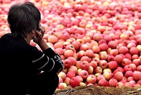 农民的苹果卖不出，城市的苹果买不起，钱谁赚着呢，价格差哪去了？.jpg.jpg