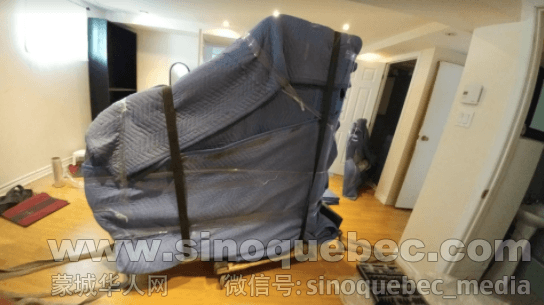 Screen Shot 2021-01-05 at 11.45.47 AM.png