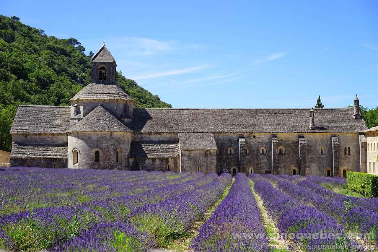 abbaye-de-senanque薰衣草可用.jpg