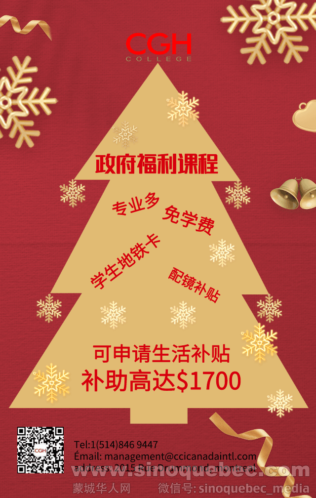 Christmas flyer.png