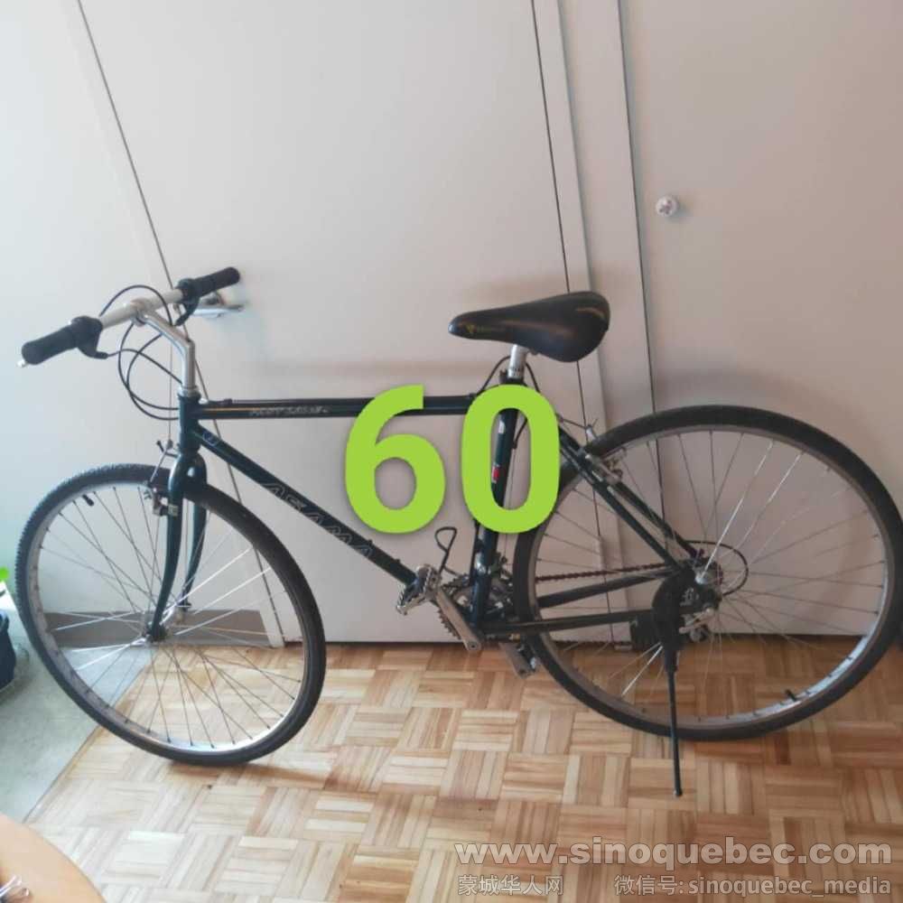 mmexport1720477335412.jpg