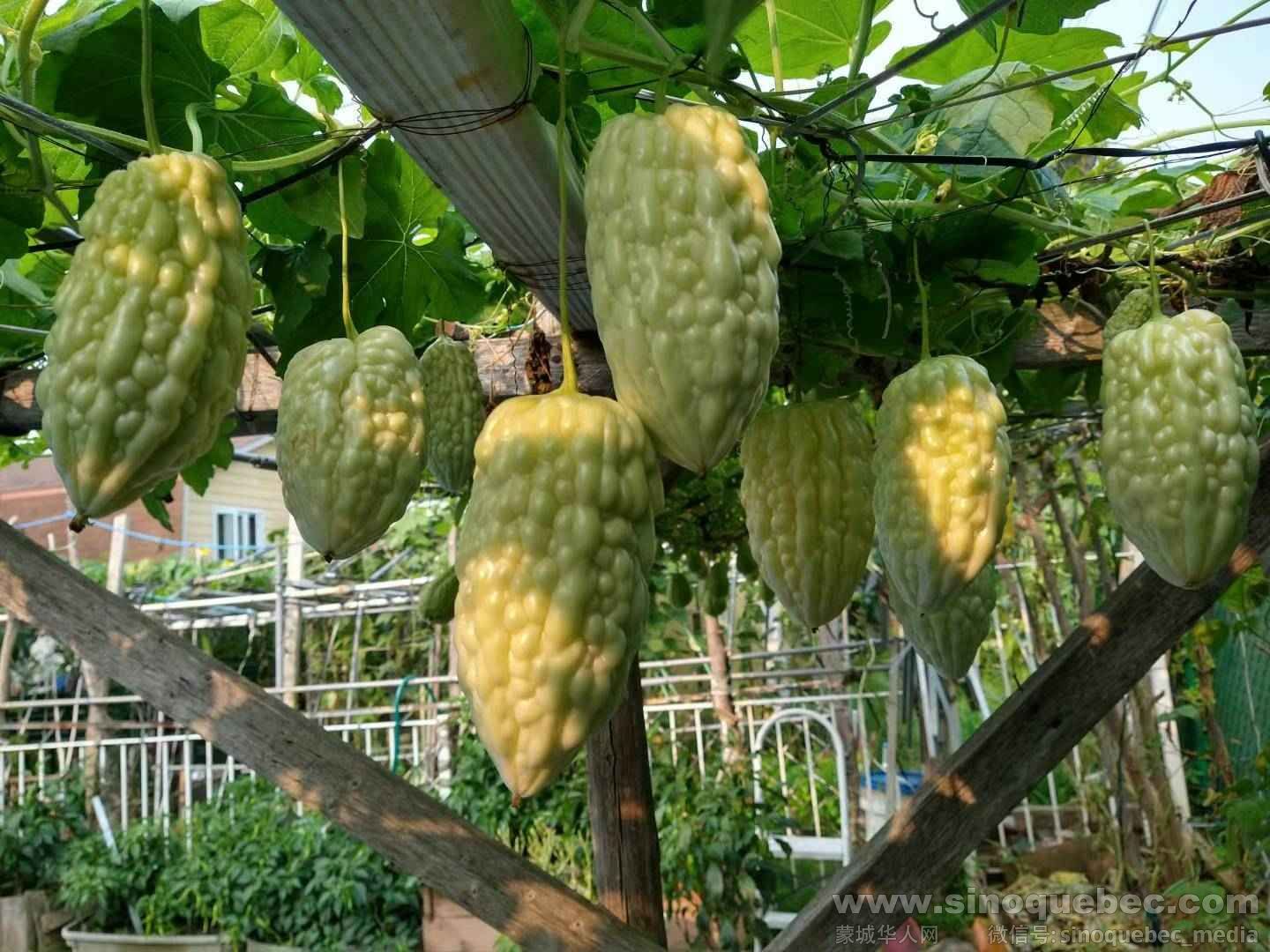 微信图片_2025-04-19_204251_824.jpg
