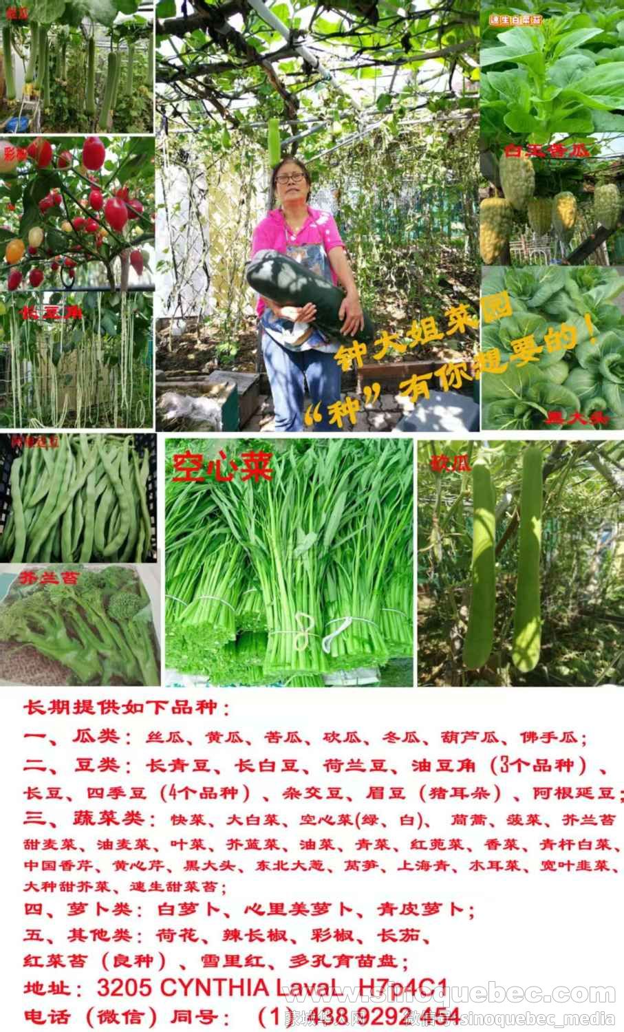 微信图片_20250419204237_6.jpg