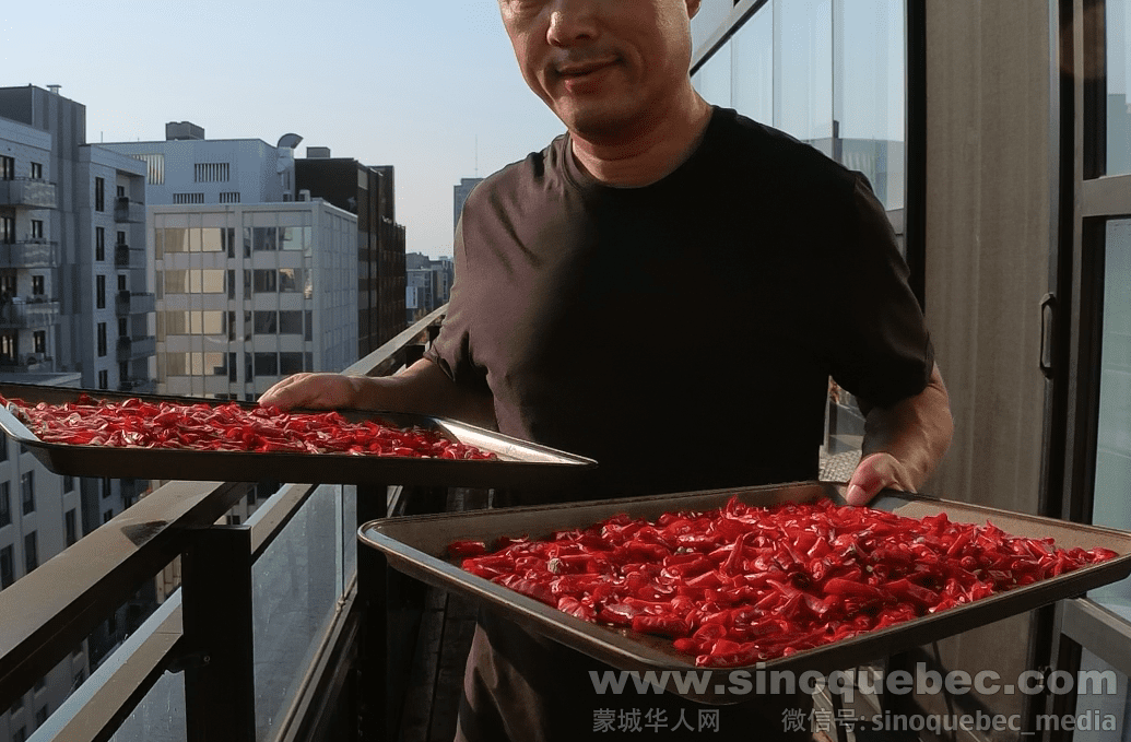 快照_82.png