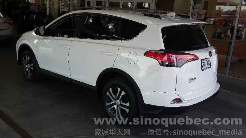 RAV4 3.jpg