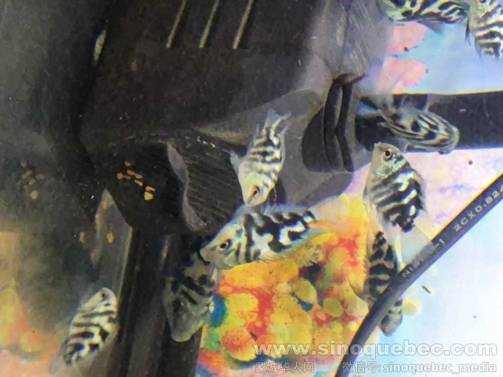 20260131_172322.jpg