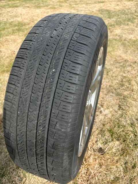 rim-2.jpg