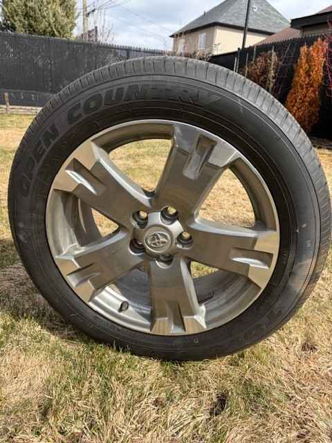 rim-1.jpg
