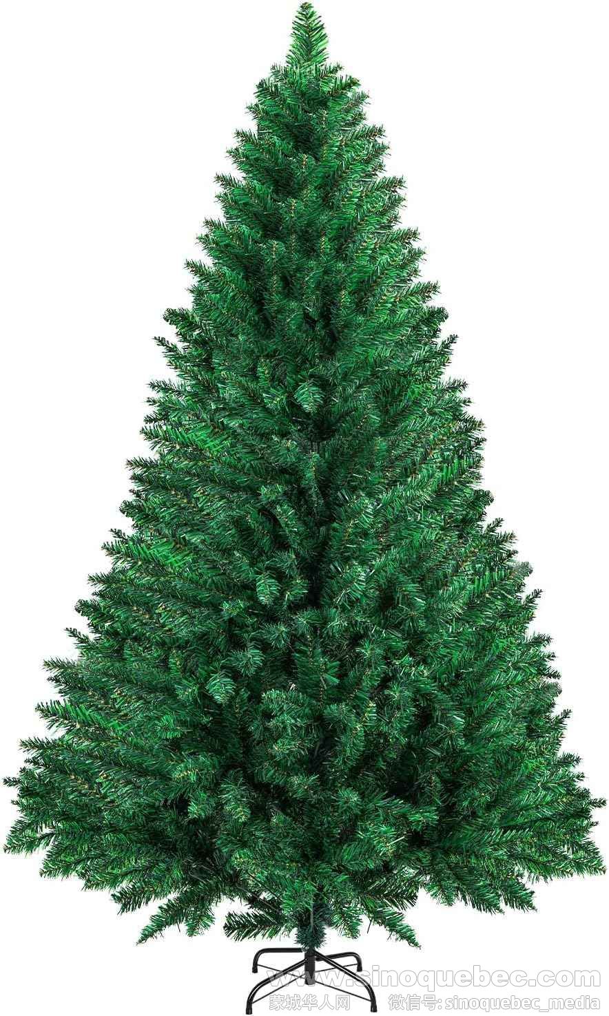 xmas tree.jpg