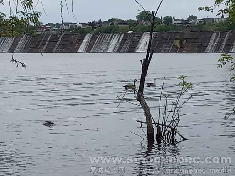 WhatsApp Image 2026-05-23 at 7.01.11 PM.jpeg