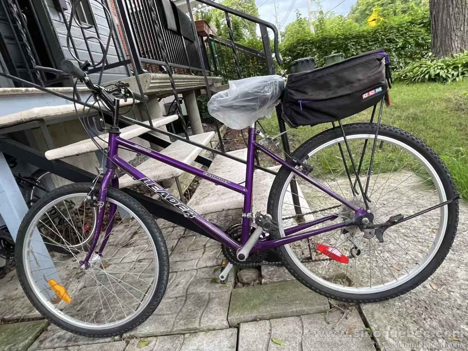 几乎全新成人自行车