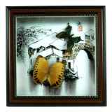 蝴蝶标本艺术 (4).jpg