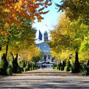 全球商学院排名 麦吉尔、康大进20强