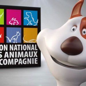 第15届蒙特利尔宠物展