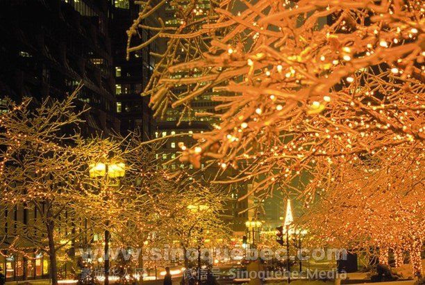 世界十大最有圣诞气氛的城市 蒙特利尔上榜