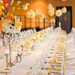 身在蒙城不得不知的外出就餐礼仪