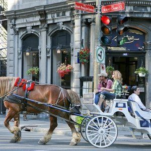 蒙特利尔最丑陋的11件事情