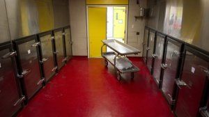 魁省每年有大量尸体无人认领