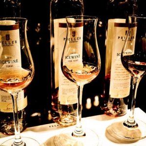 加拿大冰酒的饮用有讲究