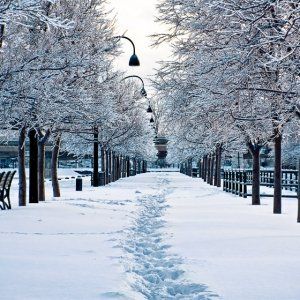 蒙特利尔冬天教会你的10件事