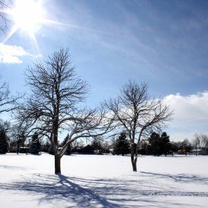 关于冬天 这10件事只有蒙特利尔人懂