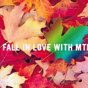 一分钟短片告诉你为什么爱上蒙特利尔